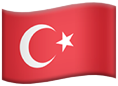 Türkçe